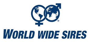 World Wide Sires logo